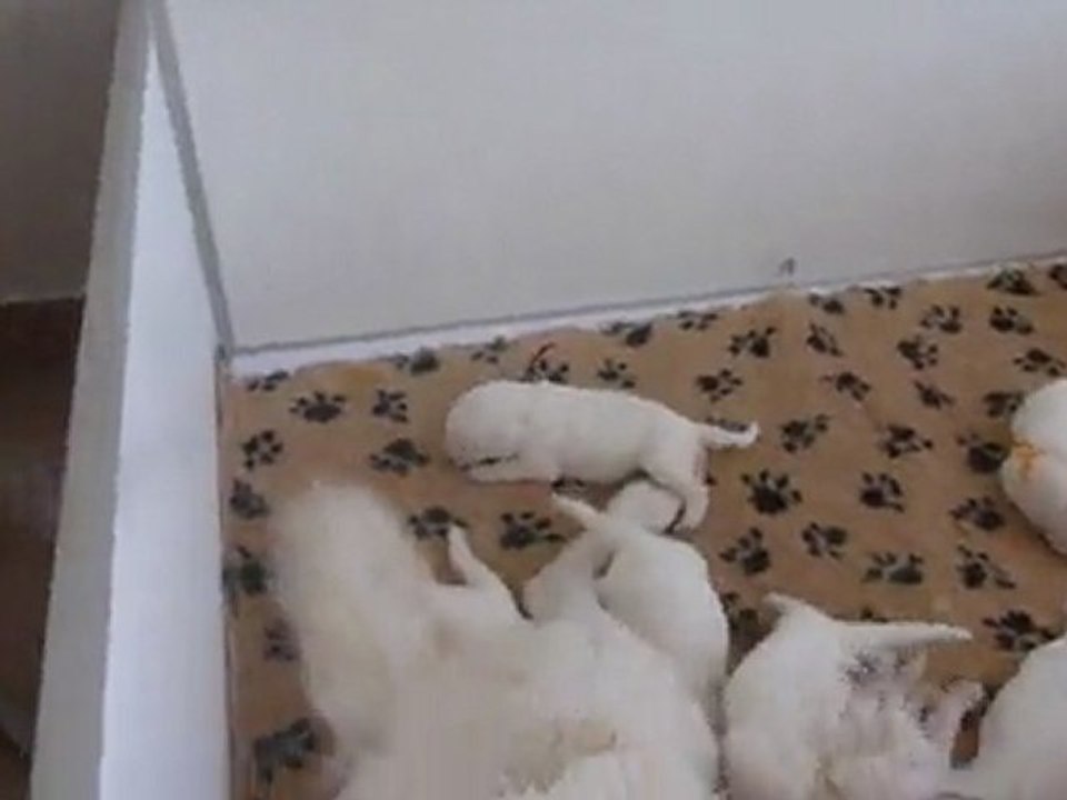 Bébés Daelynn & Heaven