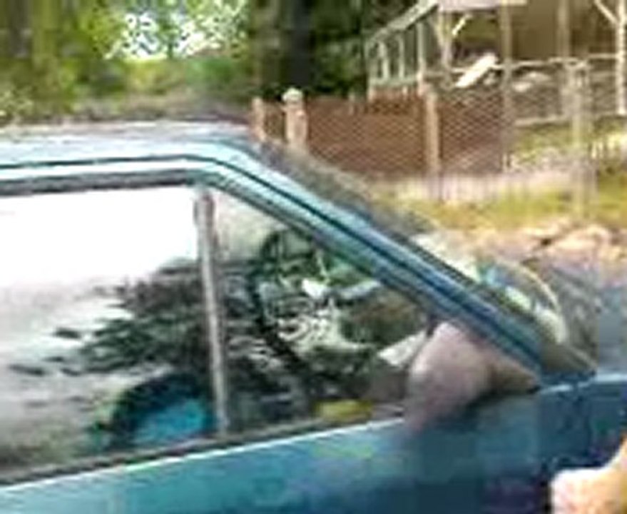 l'AX a lolo, tour du proprietaire