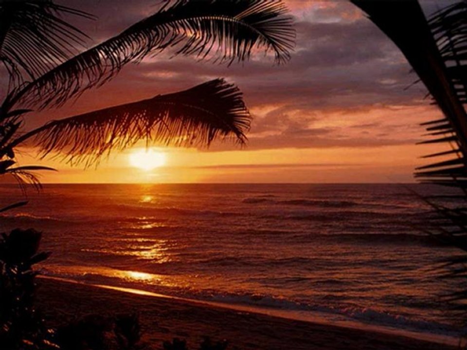 DENOTZALIENS RELAX YOUR SOUL