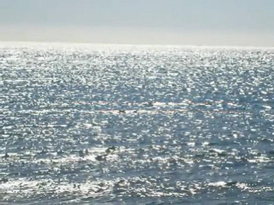 Allfinanz oder der Weg in die ruinöse Abhängigkeit