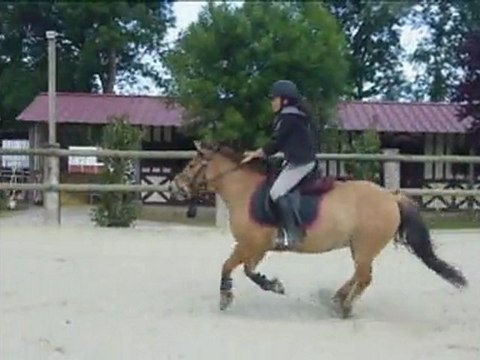 Flocon Jeanne CSO 22-05-11