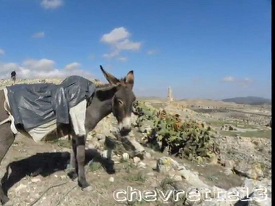 Dougga 1