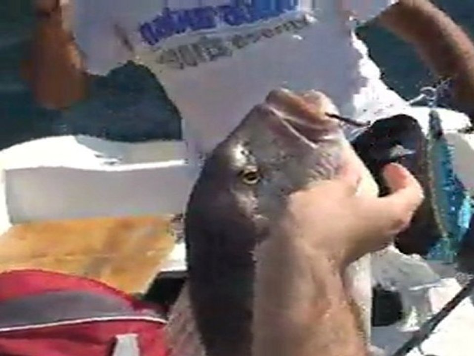 Jigging ile Sinarit Avı - www.adrasanbalik.com