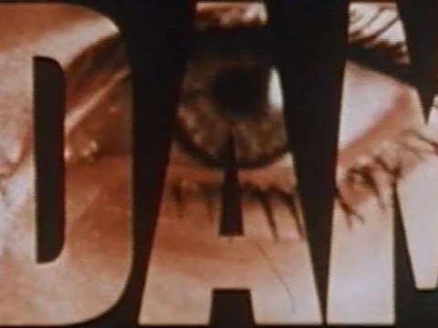 DIM DAM DOM 70 générique