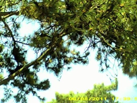 LES ORBES : VIDEO ANOMALIE? OVNI? CNI?