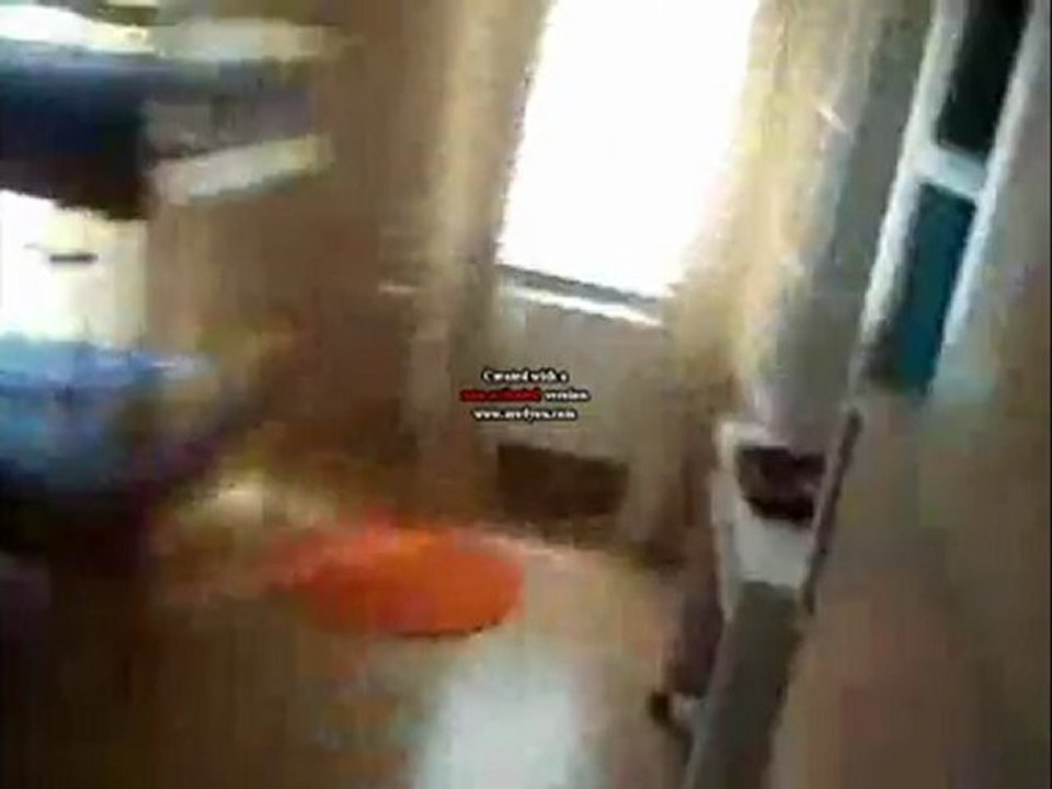 A la poursuite du chat