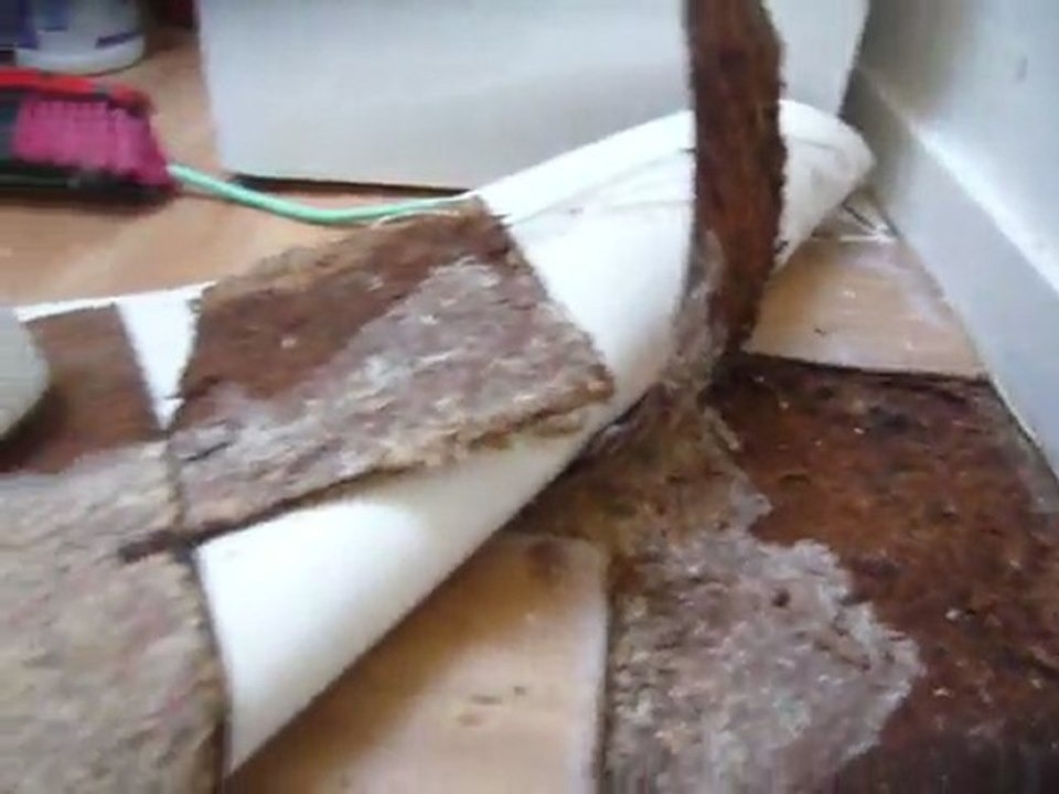 faites bien attention avant de loué un appart regarde ca dangereux pour la santé