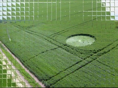 Crop Circles 2011 - Novo Aleksandrovsk, Russia 30 May 2011