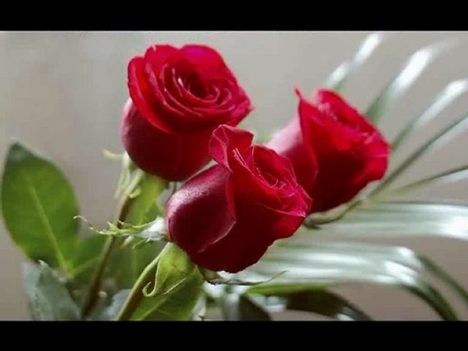 BU DAG NE RÜZGARLAR GÖRDÜ