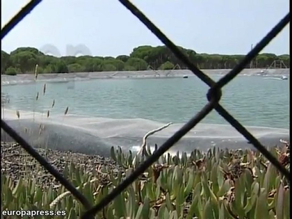 Niño muere ahogado tras caer a un embalse