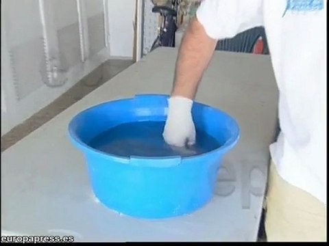 Las playas de Denia este año sin medusas