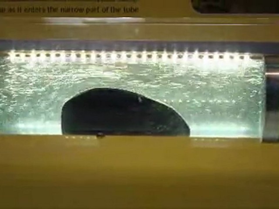 026391_30fps 1080p HD