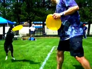 Enee frisbee ancienne vidéo