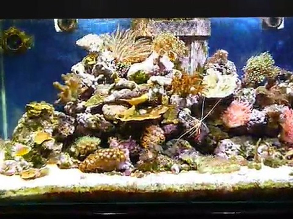 spot led 50W 10000 kelvin VS spot led 50w 20000 Kelvin