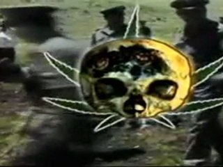 pelouse interdite [ L'Oeil du Cyclone ]