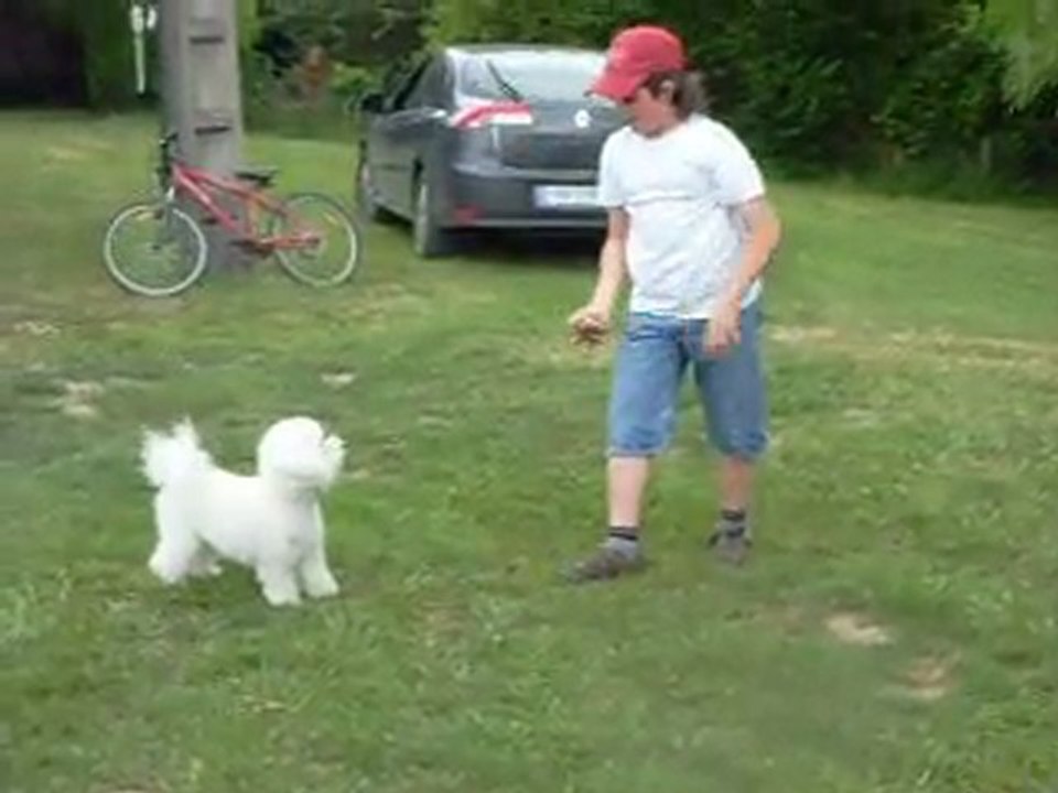 Diabolo 021