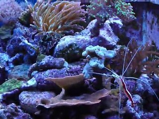 rampe diy leds vlumtec