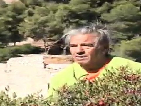 Plongeons de haut vol - Session 10 - 17/10/2010 - 10 mètres