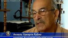 В Кубе открыли породу голубых кошек