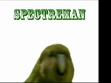 Oiseau qui danse sur SpectreMan