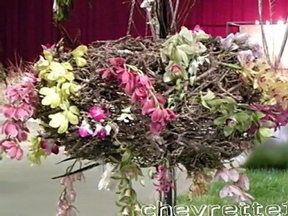 Martigues  fleurs