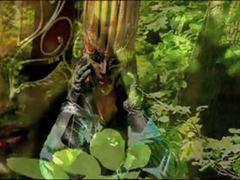 Teaser Provisoire Projet photo Allégories