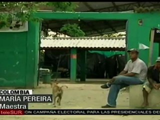 Estudiantes colombianos sufren daños que dejó el invierno