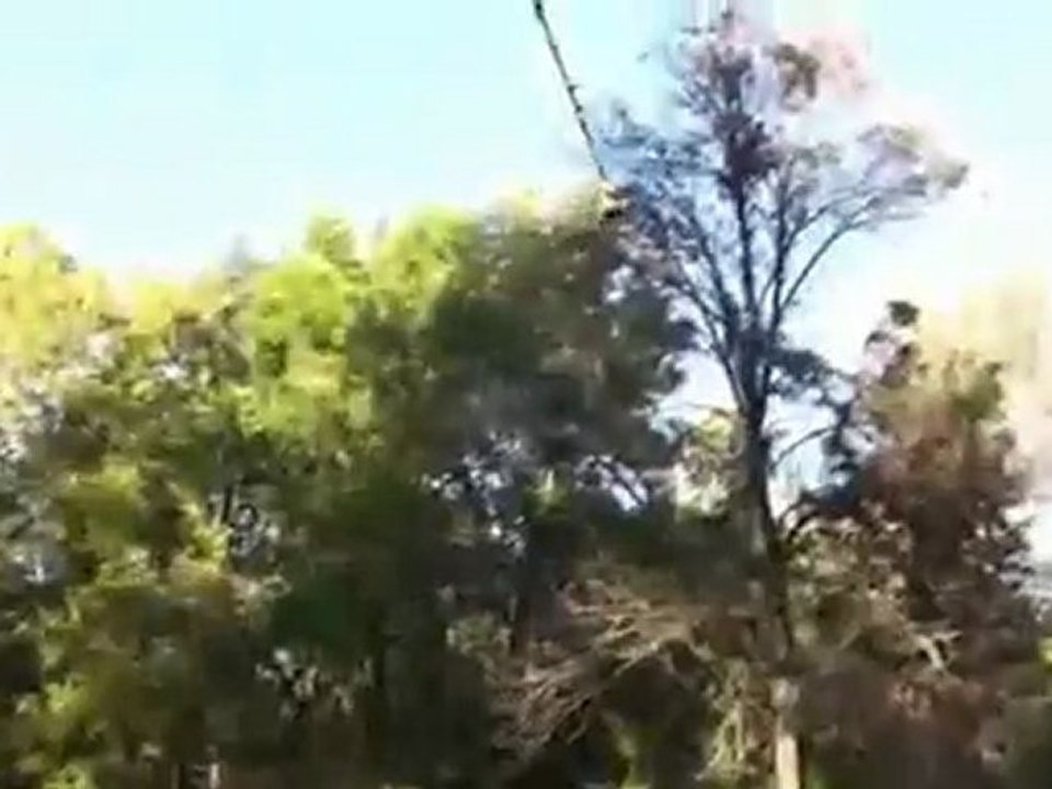 30 Nutshots In 60 Seconds