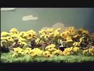 rmzn_yo : Tahir Şimşek - Anladım dostum (Kore Klibi)