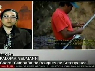 México: vacíos legales dificultan la protección de bosque