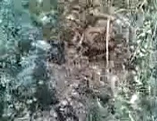 yiğitler köyü YENİFAKILI (KEME BULMA)