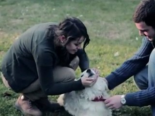 Rapozof - Batan Geminin Mali (2011)