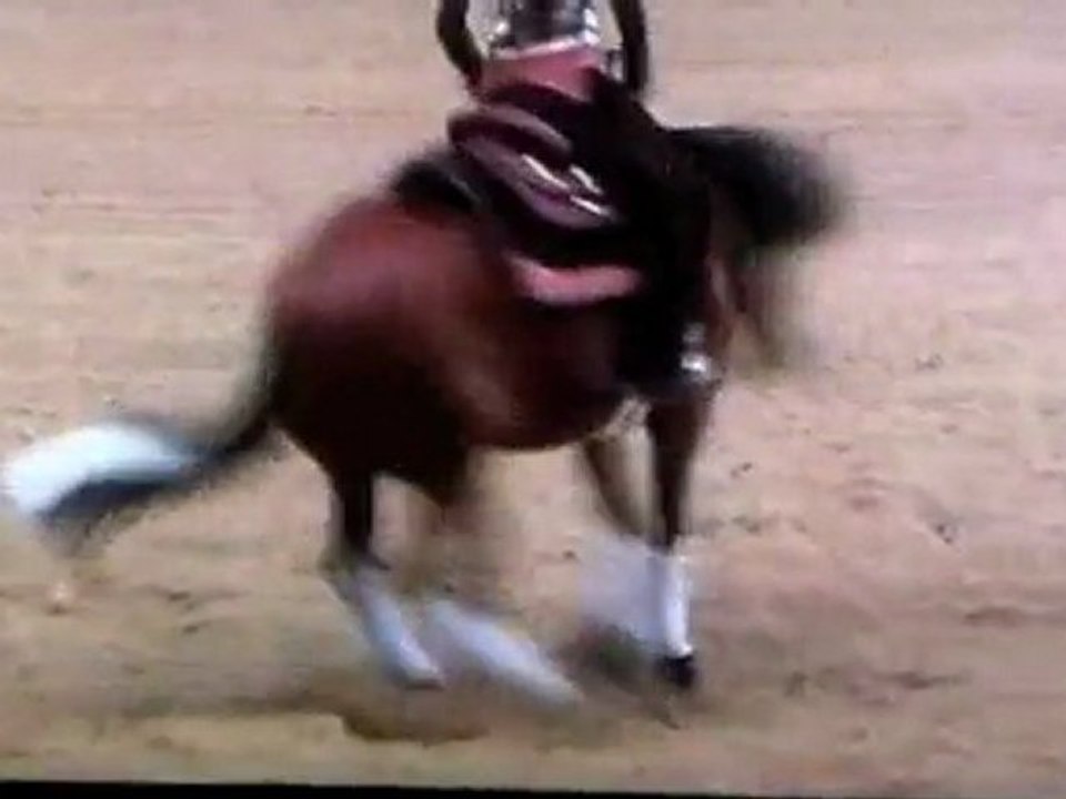 Gunners Enterprise Kreuth