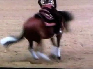 Gunners Enterprise Kreuth