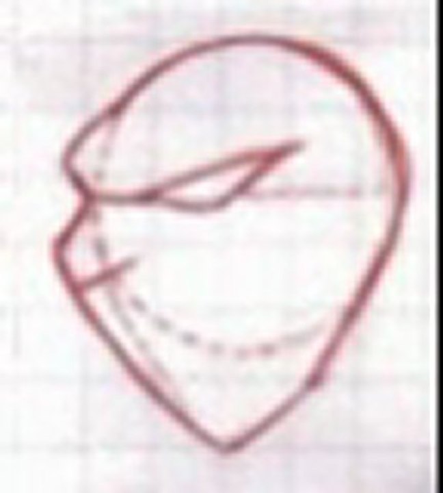 Prenons de nos semblales, aprenons-nous à nous respectez les auns aux utres sans qu'aucune  ne soit faîte!  Respectons notre mère nourricière à tous  :  "la Terre". Aimons la , comme elle nous aime, protégeons, comme elle nous protège, servons la,