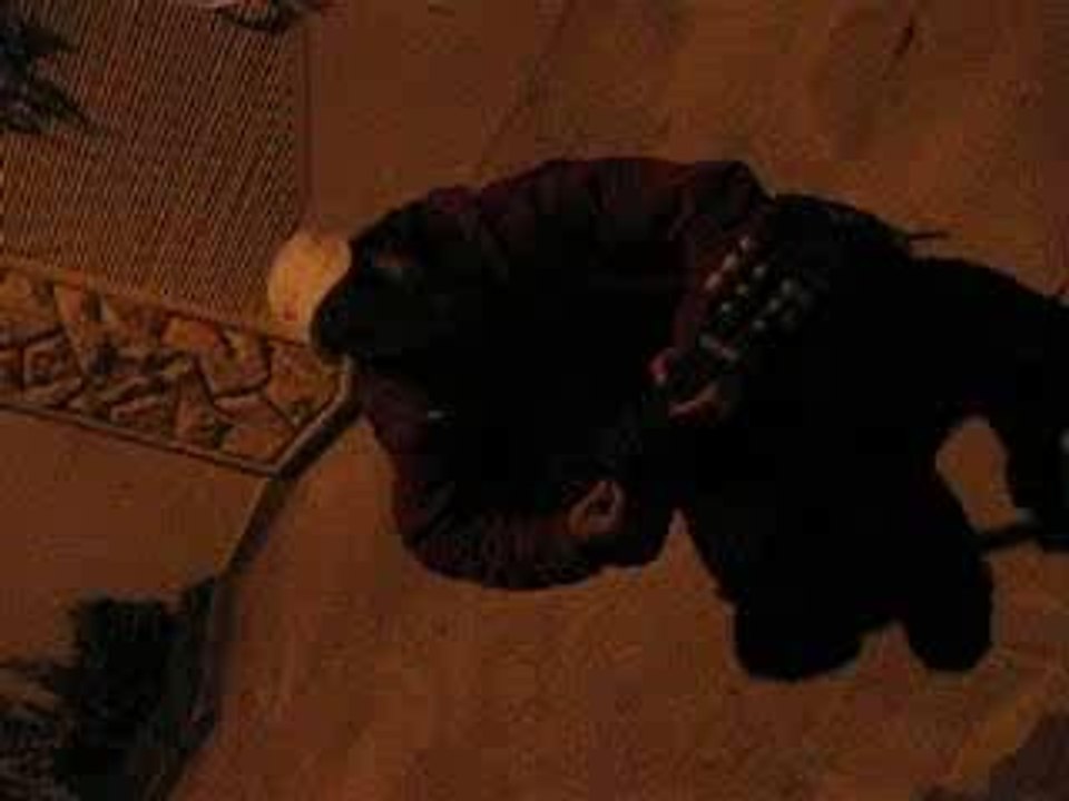 Photo 075