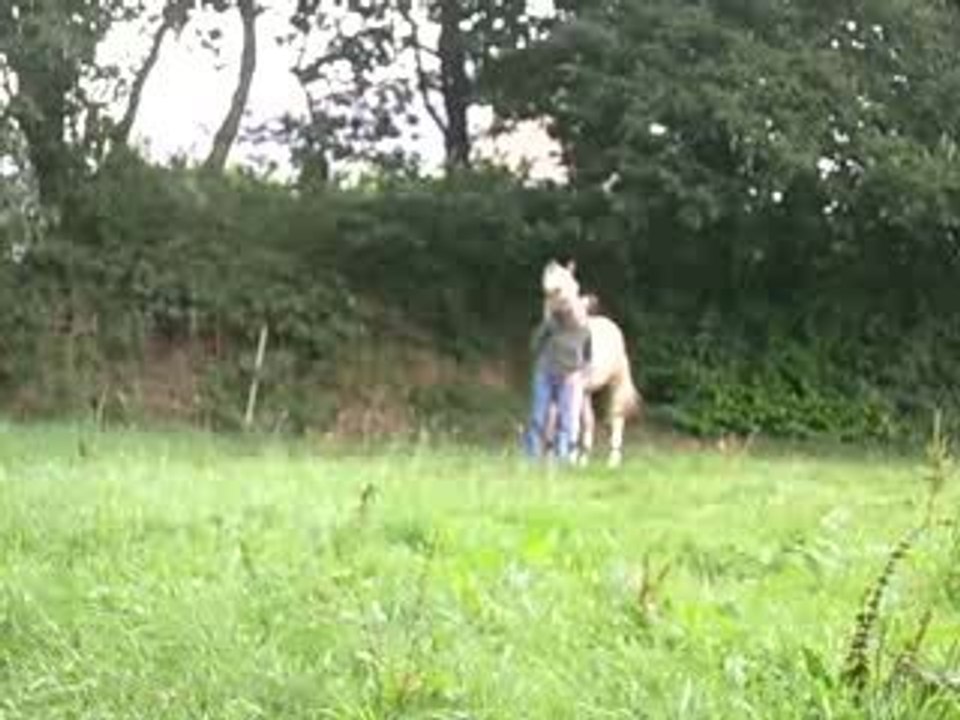 Kador en liberté 2