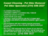 Frisco dallas allen plano carpet cleaning pet odor removal w
