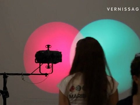 La Biennale di Venezia 2011: ILLUMInazioni / Padiglione Centrale, Giardini