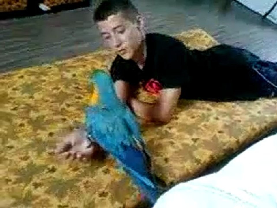 Vidéo-0010