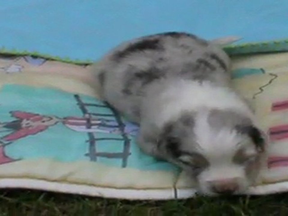 modesty4juin2011