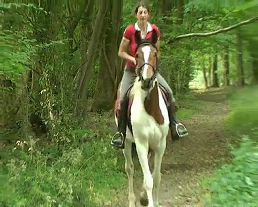 Unique_du_Hautbois
