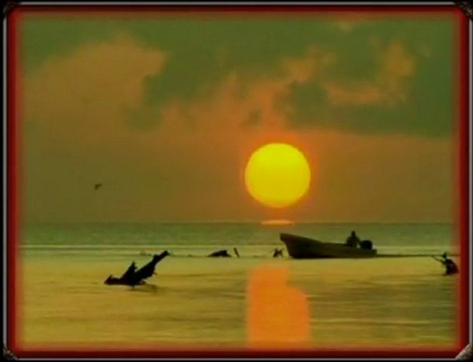 SECRET FEELINGS  "ERNESTO CORTAZAR"   {Classic Love Songs}