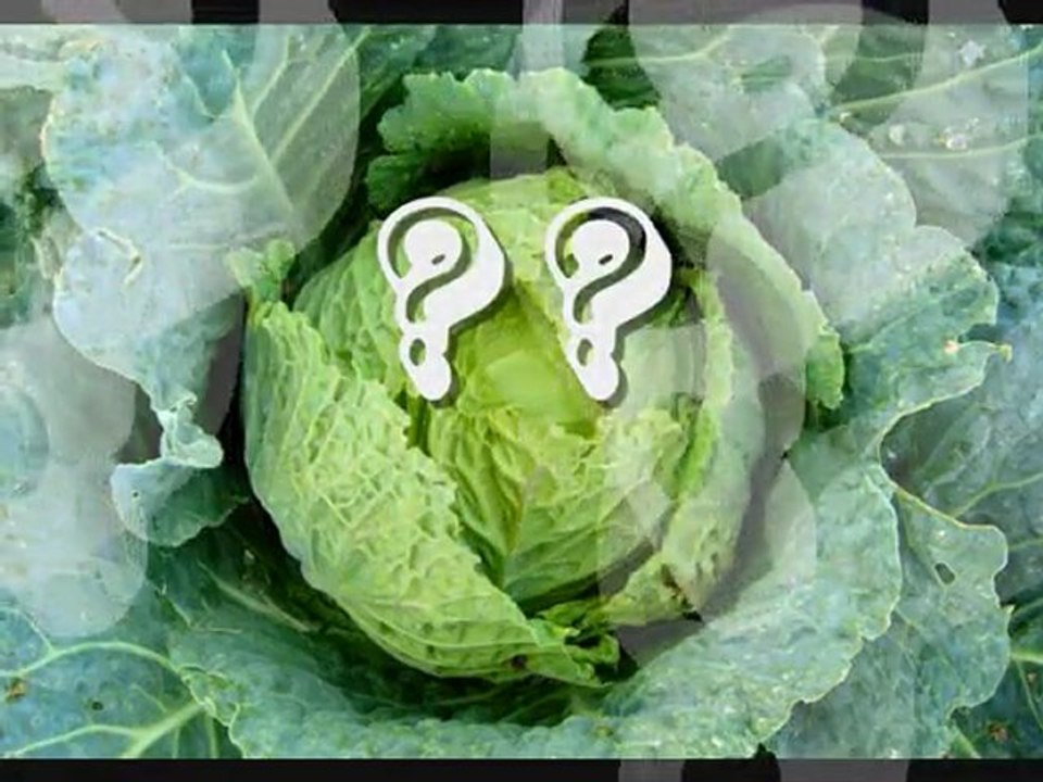 Ninon de 8 à 11 mois...