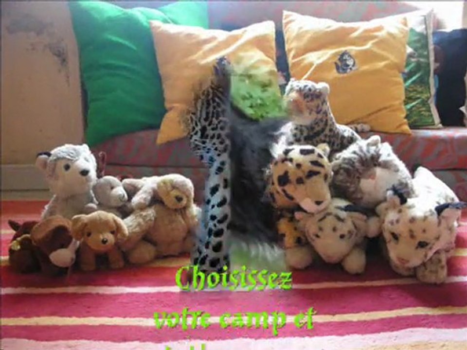 Forum RPG : La Terre des Carnivores