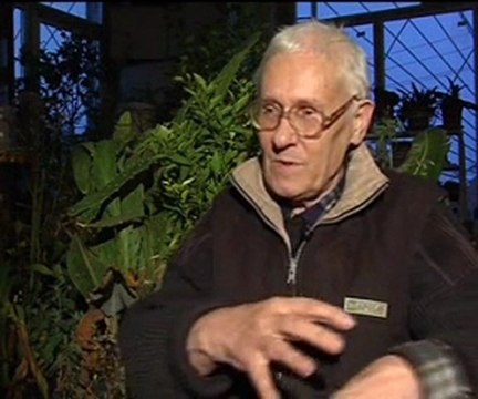 Учение Болотова. Медицина и здоровье