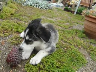 Yuna écoute sons puis chanson