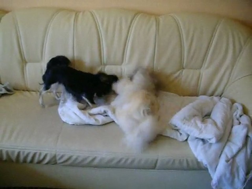 Talya & Kitty - Juin 2011