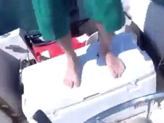 Shark was caught with a smaller shark