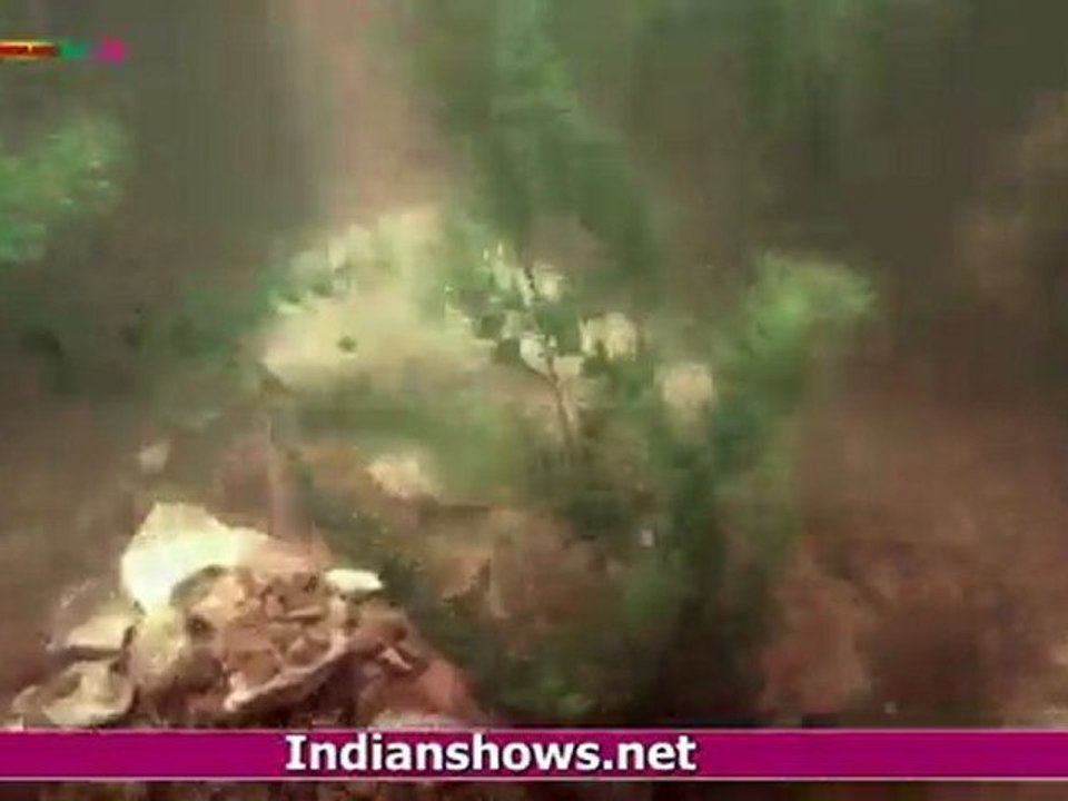 SURVIVOR INDIA (Promo)